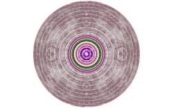 2014 05 30 Nameless Horse 42-white.jpg